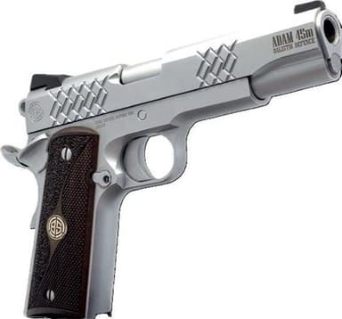Dickinson 1911 Adam 9 WM Stainless 9mm 4.25" Barrel 9-Rounds