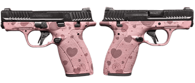 Smith & Wesson Bodyguard 2.0