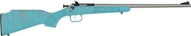 Crickett G2 .22 LR 16.13in Blue Synthetic Stainless