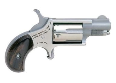NAA Mini-Revolver: Ultra-Compact .22 LR, 5rd, 1.13" Barrel