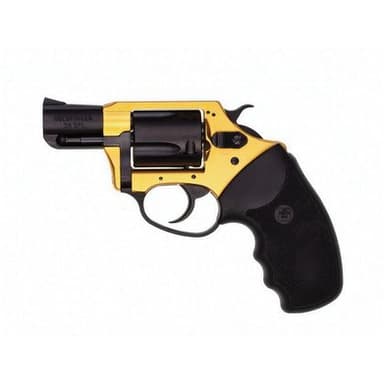 Charter Arms Undercover: Compact .38 Spl. Two-Tone Defender