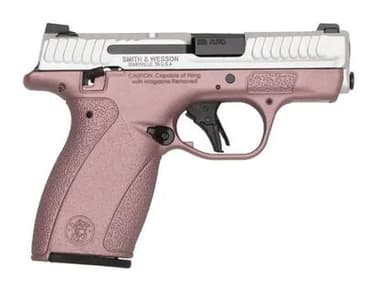 Smith & Wesson Bodyguard