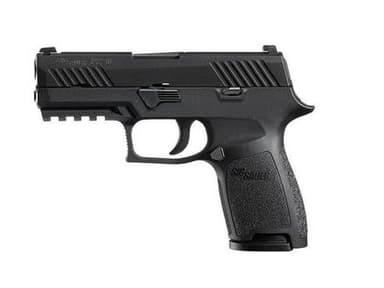 Sig Sauer P320 Compact 9mm Modular Night Sight Pistol