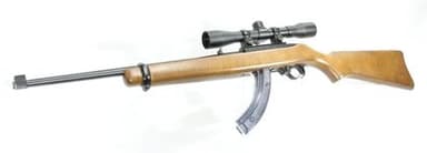 Ruger 10/22: Iconic .22 LR Semi-Auto, 18.5" Barrel, Lightweight & Accurate