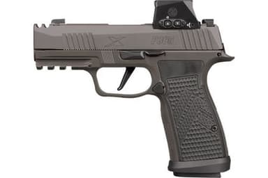 Sig Sauer P365 AXG Legion 9mm 3.1in Legion Gray