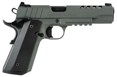 TISAS 1911 Night Stalker .45 ACP 5in Platinum Grey