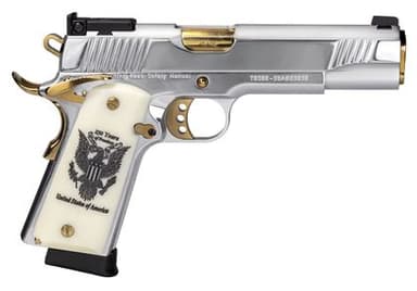 European American Armory MC1911 .45 ACP 5in Stainless/Gold