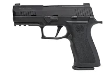 SIG Sauer P320 Pro Carry 9mm 3.9in Stainless