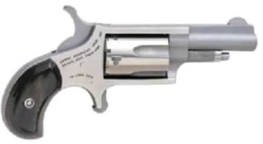 NAA Mini-Revolver .22 WMR Stainless 1.625" Conceal Carry