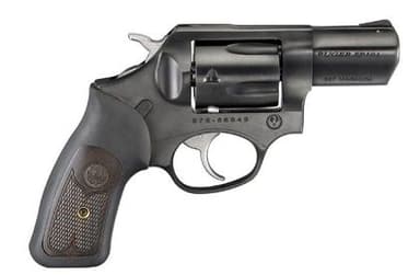 Ruger SP101 .357 Magnum Stainless Revolver - Double Action Power