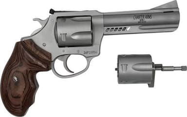 Charter Arms Double Dog .357 Magnum/9mm 4.2in