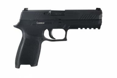 Sig Sauer P320 .40 S&W Modular Semi-Auto Pistol - Nitron Finish