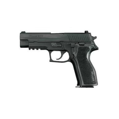 Sig Sauer PrecisionGuard 9MM Semi-Auto Handgun