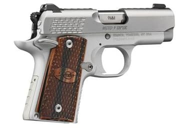 Kimber Micro 9 Raptor: Sleek Stainless Concealed Carry Pistol