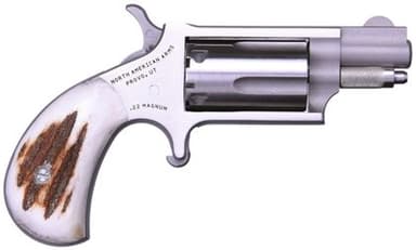 NAA Mini-Revolver: .22 Mag Stainless with Red Stag Grips