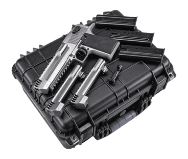 Magnum Research Desert Eagle Mark XIX 6in Stainless