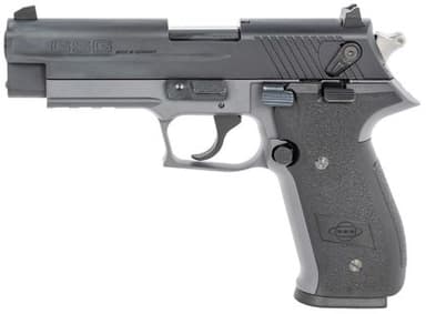 GSG Firefly HGA .22 LR Pistol - Smoke Gray, Precision Plinker