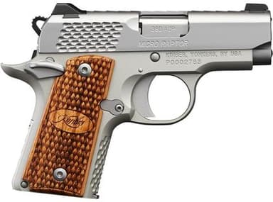 Kimber Micro Raptor Stainless .380 ACP Subcompact Pistol