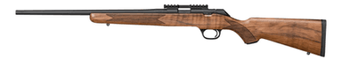 Springfield Precision .22LR Model 2020 Bolt Rifle - AAA Walnut Stock