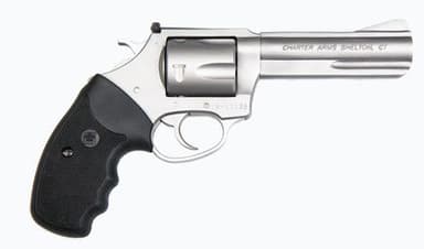 Charter Arms Pitbull .40 S&W Revolver - Compact Stainless Defender