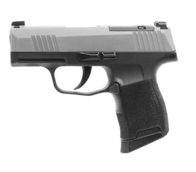 Sig Sauer P365 9mm 3.1in Stainless/Black