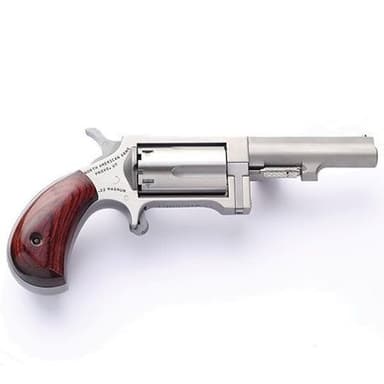 NAA Sidewinder .22 WMR Revolver, 2.5" Stainless Steel Compact