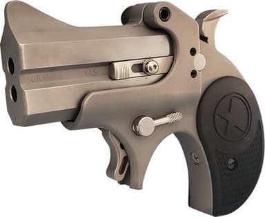 Bond Arms Rawhide .22 LR Single Shot Pistol - 2.5" Stainless Classic
