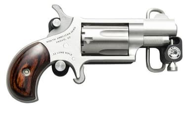 NAA Mini-Revolver - Compact Stainless .22 LR with Rosewood Grips