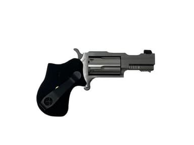 North American Arms Rule 1 .22 Magnum