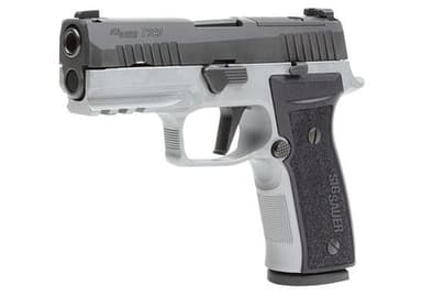 Sig Sauer P320 AXG Carry - 9mm Two-Tone Compact Pistol