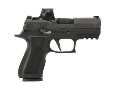 Sig Sauer P320 Off-Duty 9mm Black