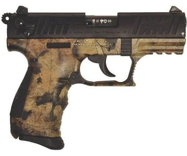 Walther Precision .22LR: Compact Semi-Auto Handgun