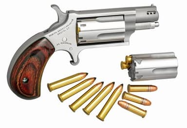 NAA Mini-Revolver: Dual .22 LR/WMR, 1.63" Rosewood SS Finish