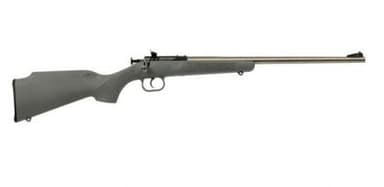 Keystone Sporting Arms Crickett .22 LR 16.125in Stainless