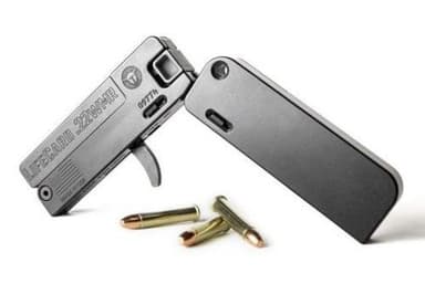 Trailblazer LifeCard .22 WMR 2.5in Black