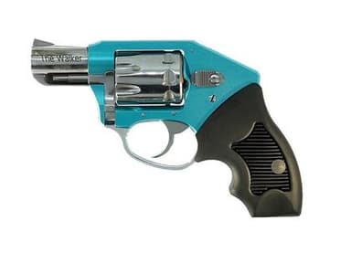 Charter Arms The Walker .22 WMR