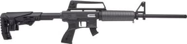 ARMSCOR TM22: Featherlight .22 LR Semi-Auto Rifle, Adjustable Stock