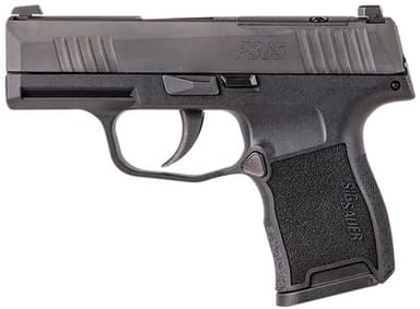 Sig Sauer P365 .380 ACP Micro Compact Striker-Fired Night Sight