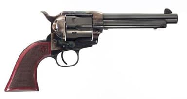 Taylors & Co Smokewagon .45 Colt Revolver 5.5" Case Hardened