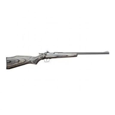 Chipmunk .22 LR 16.1in Stainless Black Laminate