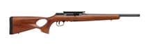 Savage A22 Gen 1 .22 LR Semi-Auto Rifle - AccuTrigger, Optic Ready - .22 LR