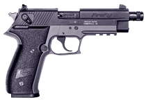 GSG German Sport Guns Firefly