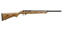 Ruger Precision 10/22 Target Rifle - .22 LR Semi-Auto Mastery - .22 LR