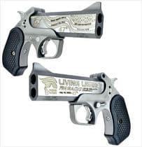 Bond Arms DT47 .45 LC/.410 4.25in Stainless - .45 Colt