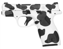 Smith & Wesson Bodyguard 2.0