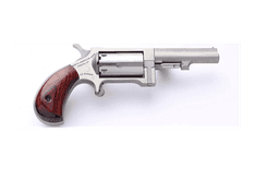 NAA Sidewinder Dual-Caliber .22 WMR/.22 LR Stainless Revolver - view 3