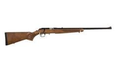 Ruger PrecisionLite .22 LR Bolt Action, 22" Barrel Rifle - view 3