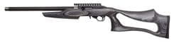 MagnumLite SwitchBolt .22LR: Precision Semi-Auto Rifle - view 2
