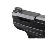 Ruger LCP Max .380 ACP 2.8in - view 3