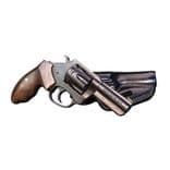 Charter Arms Pro .32 Magnum Revolver - Black Nitride Finish - view 5
